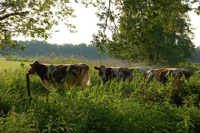 Apartament Klein Erve